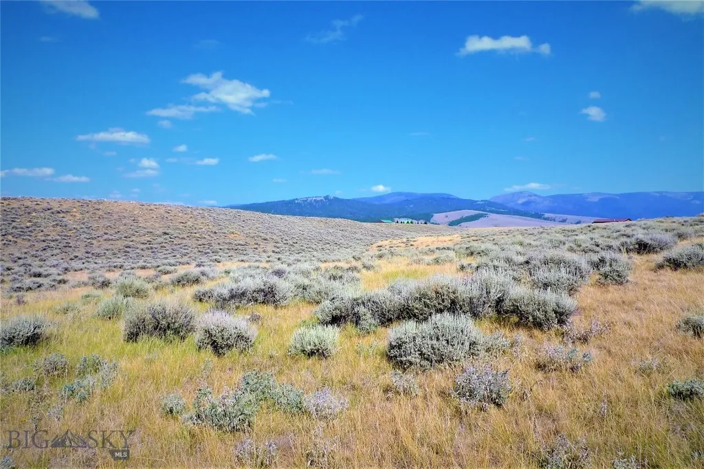 Tbd Joanie Drive Wisdom MT 59761