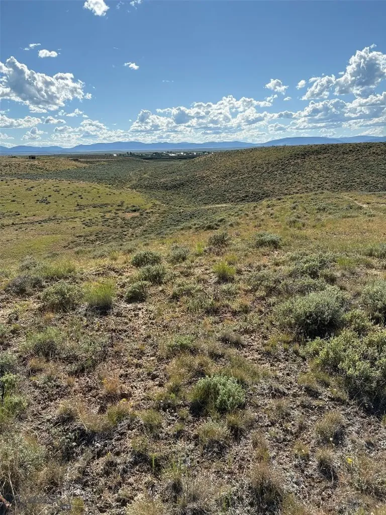 Tbd Joanie Drive Wisdom MT 59761