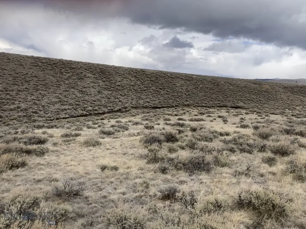 Tbd Joanie Drive Wisdom MT 59761