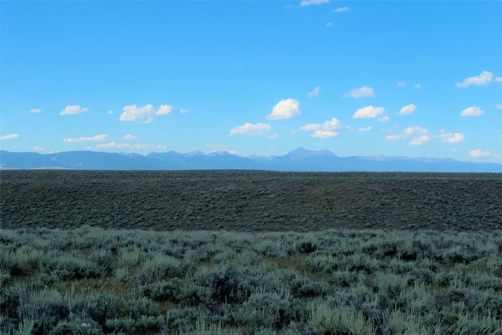 Tbd Joanie Drive Wisdom MT 59761