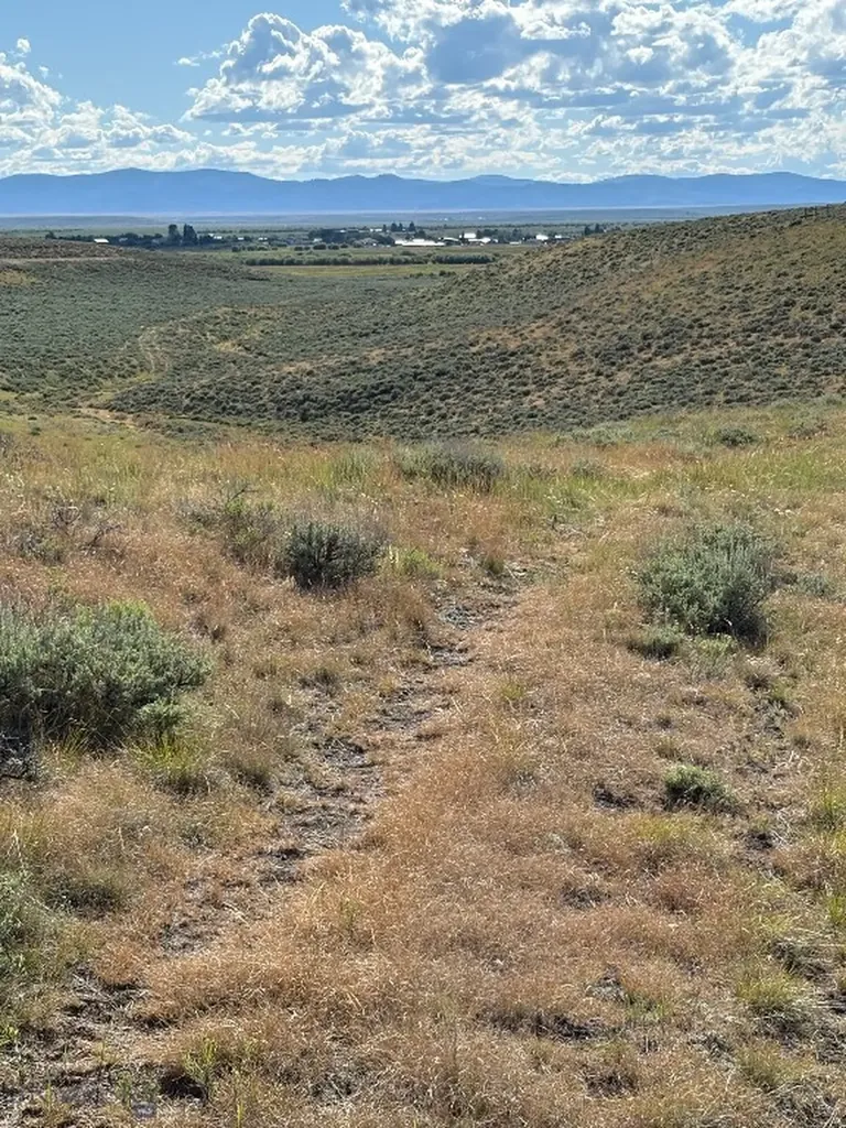 Tbd Joanie Drive Wisdom MT 59761