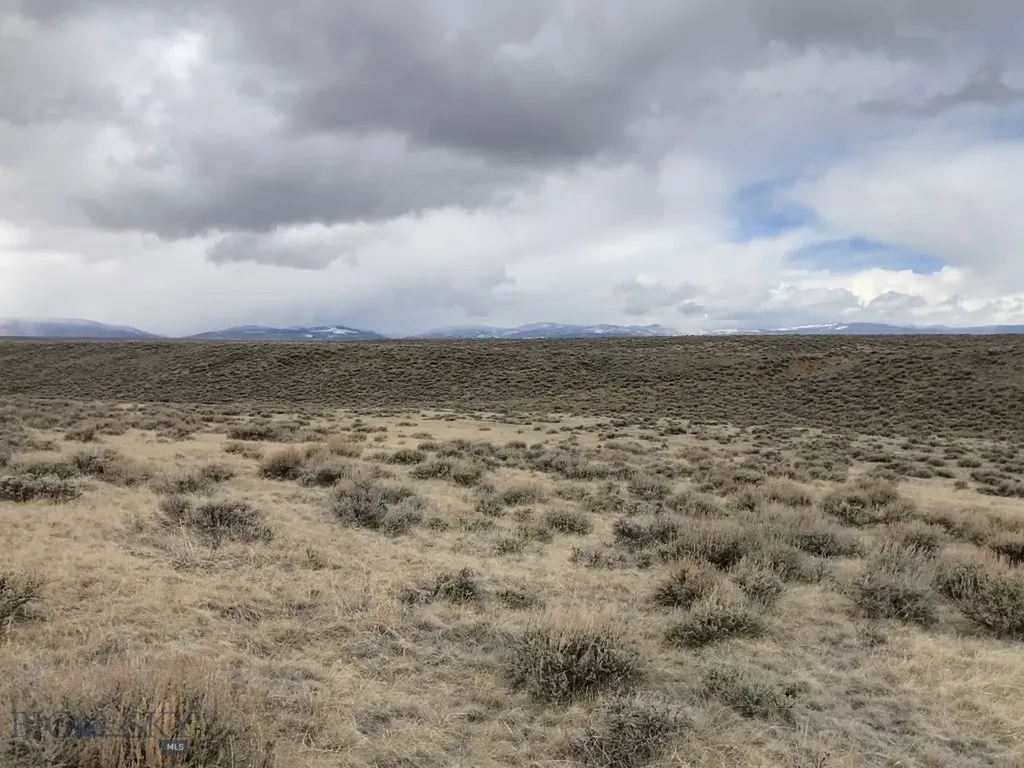 Tbd Joanie Drive Wisdom MT 59761