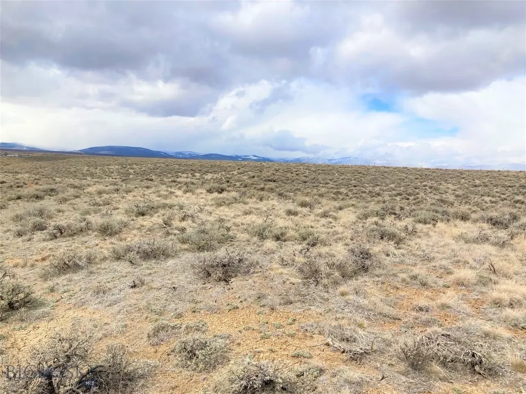 Tbd Joanie Drive Wisdom MT 59761