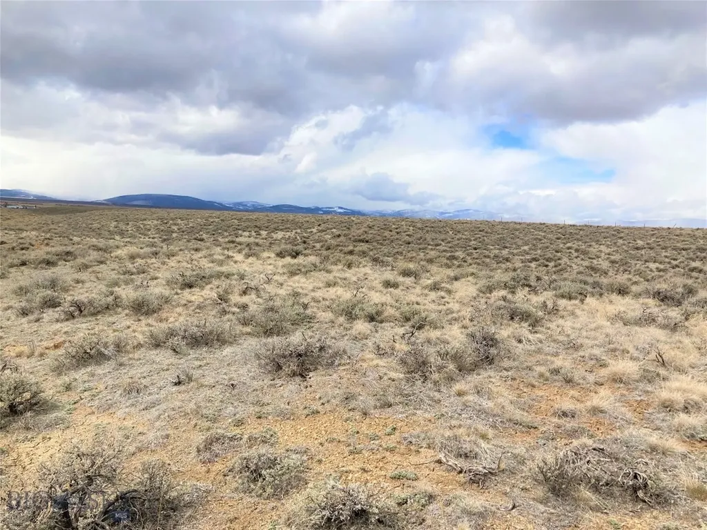 Tbd Joanie Drive Wisdom MT 59761