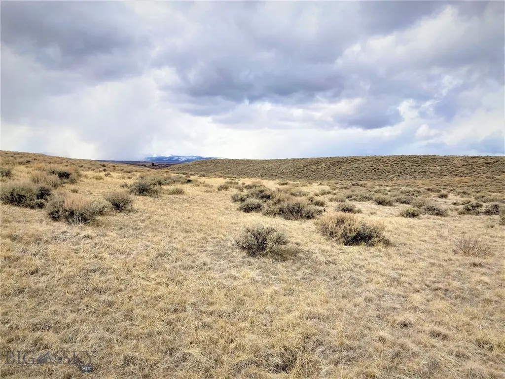 Tbd Joanie Drive Wisdom MT 59761