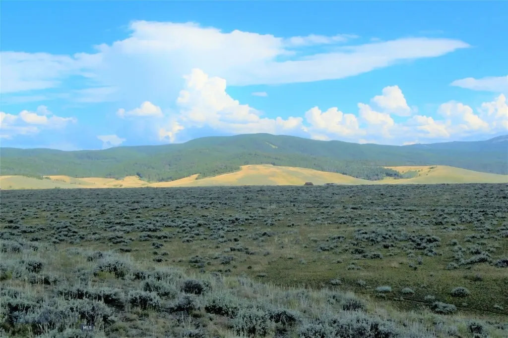 Tbd Joanie Drive Wisdom MT 59761