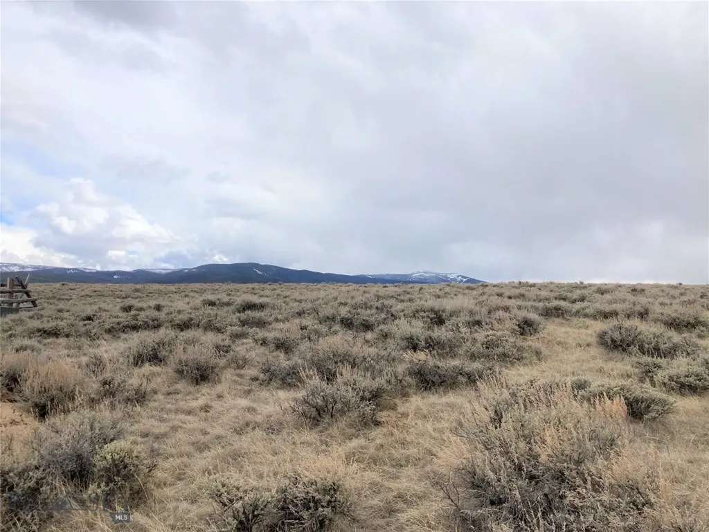 Tbd Joanie Drive Wisdom MT 59761