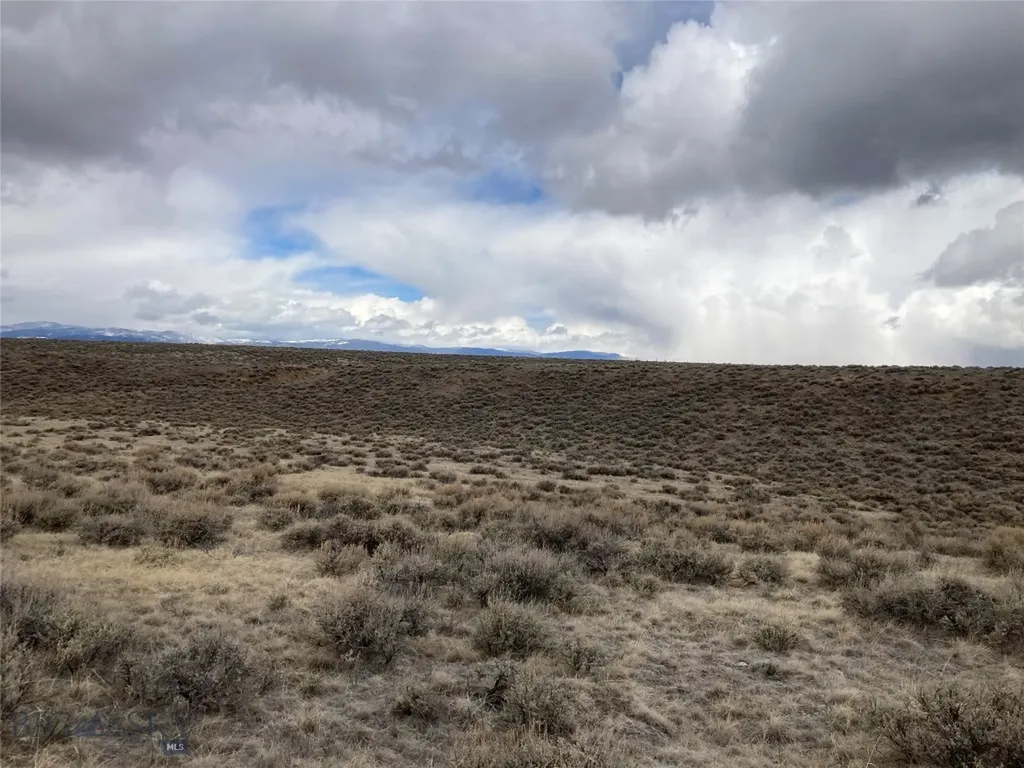 Tbd Joanie Drive Wisdom MT 59761