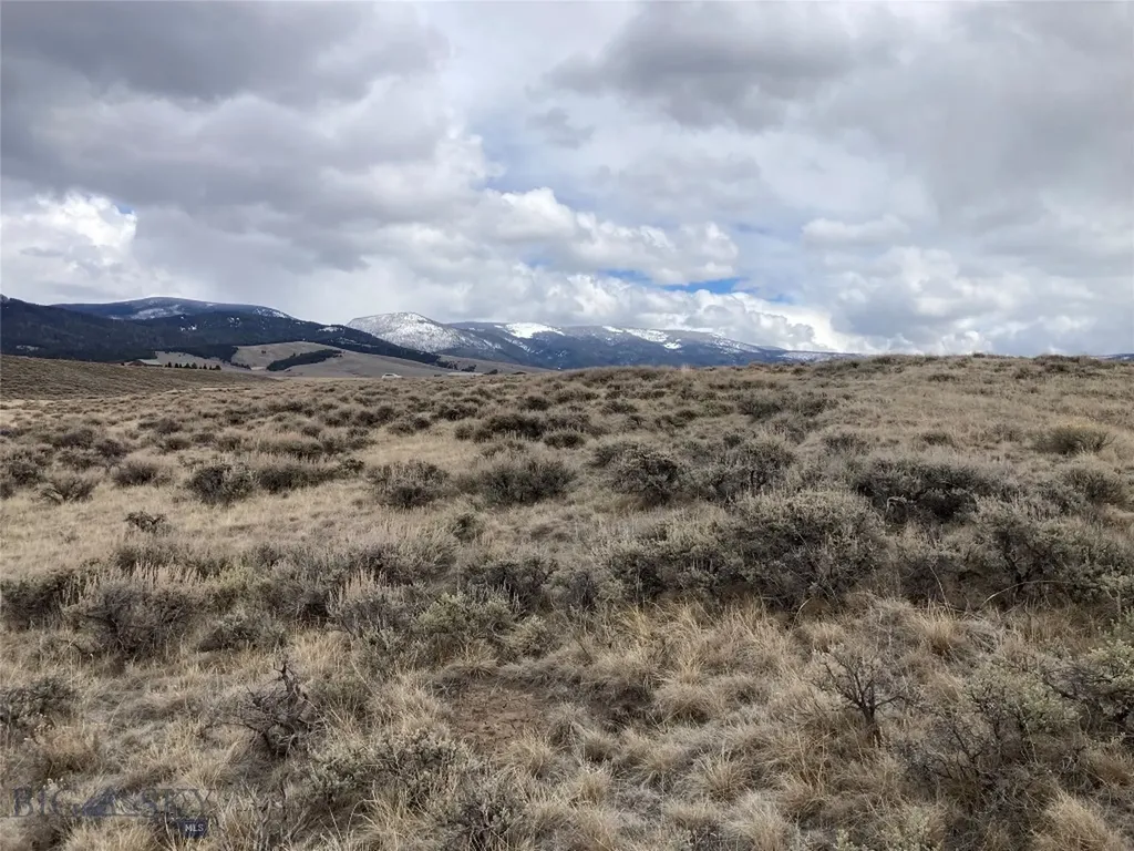 Tbd Joanie Drive Wisdom MT 59761