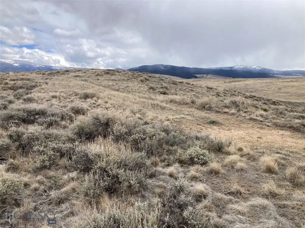 Tbd Joanie Drive Wisdom MT 59761