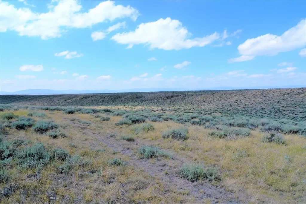 Tbd Joanie Drive Wisdom MT 59761