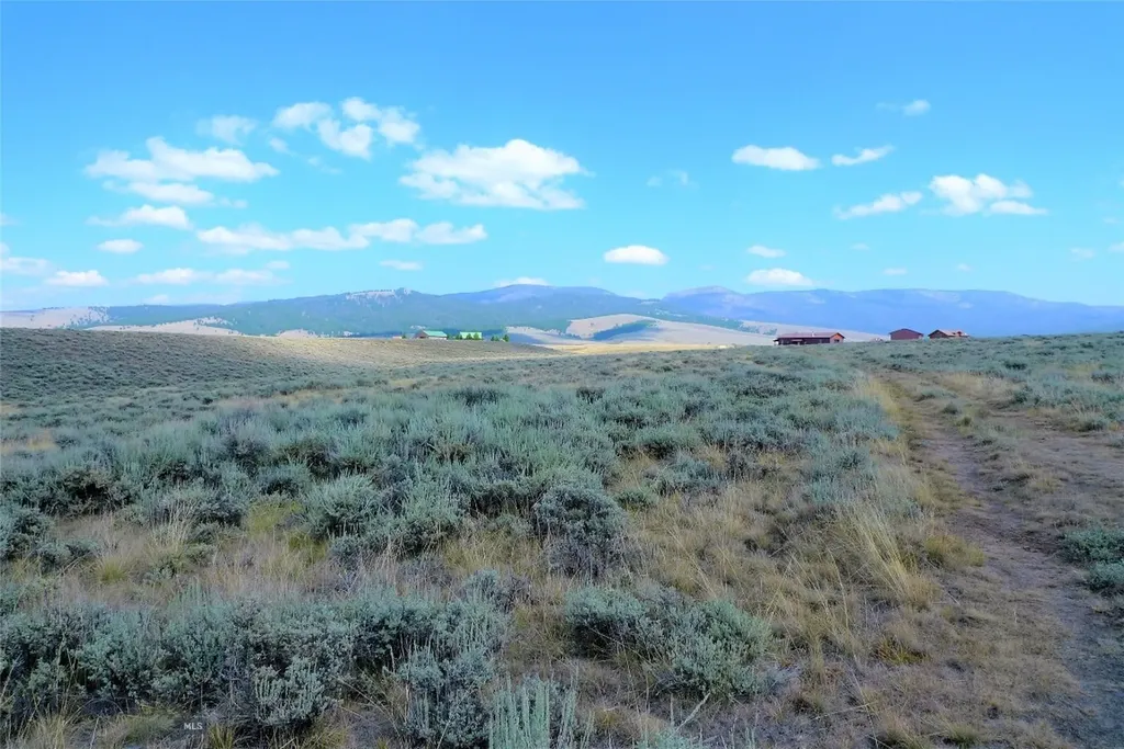Tbd Joanie Drive Wisdom MT 59761