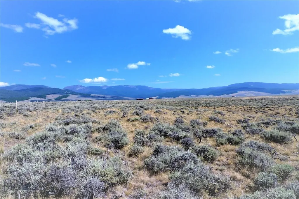 Tbd Joanie Drive Wisdom MT 59761