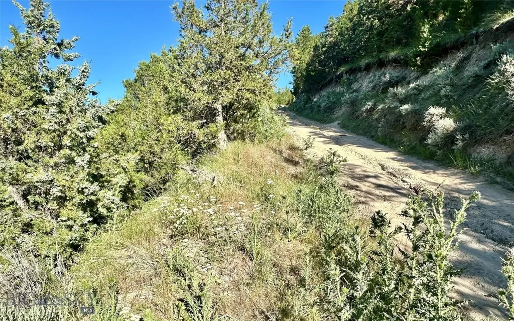 Lot 290 Tbd Broken Creek Road Three Forks MT 59752