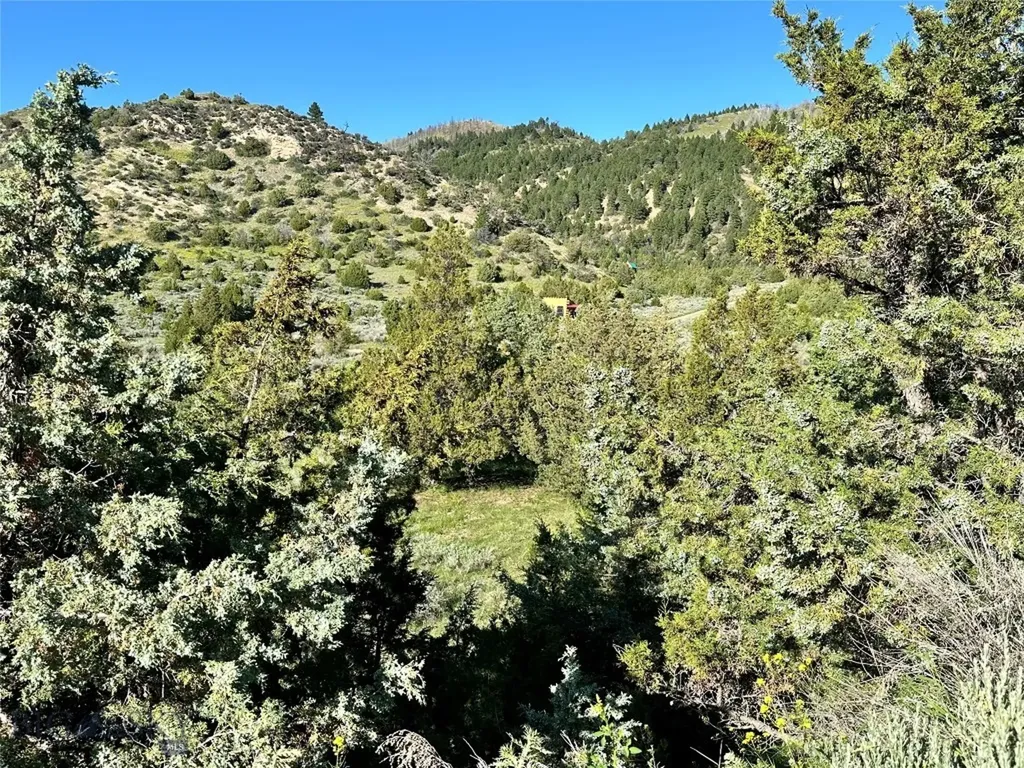 Lot 290 Tbd Broken Creek Road Three Forks MT 59752