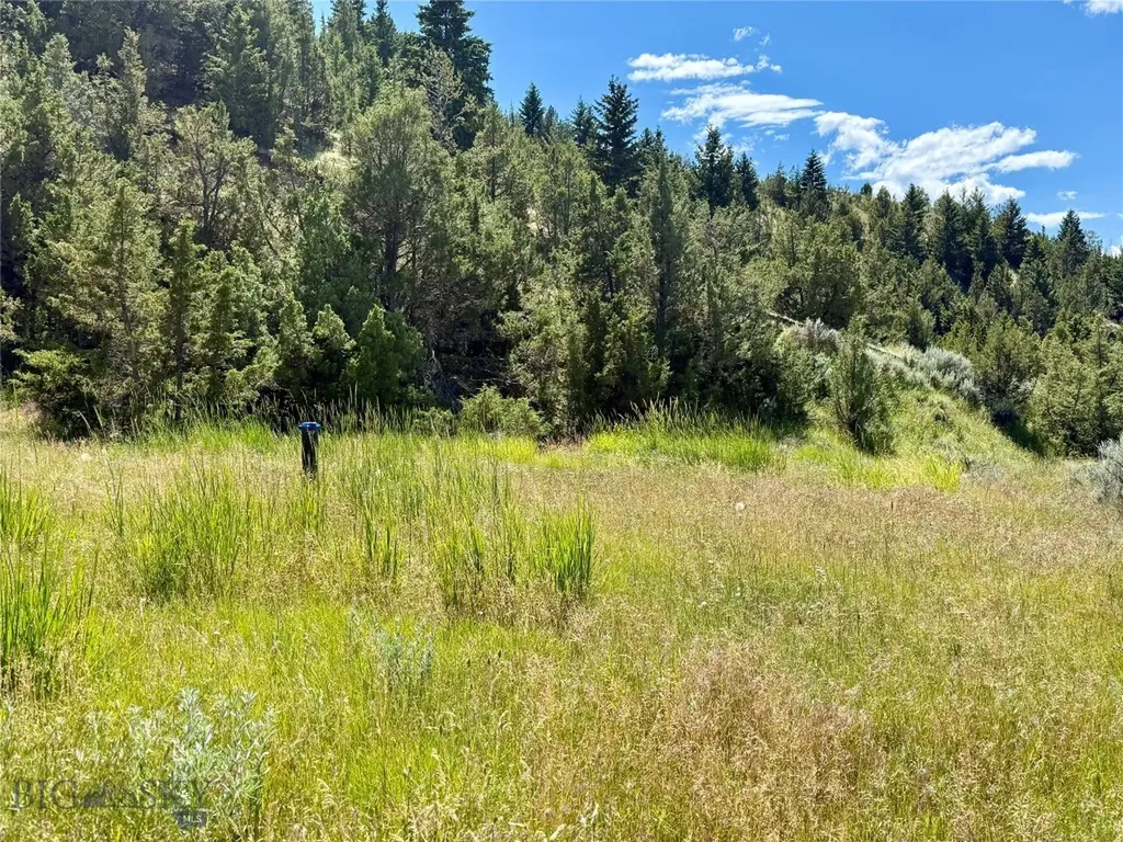 Lot 290 Tbd Broken Creek Road Three Forks MT 59752