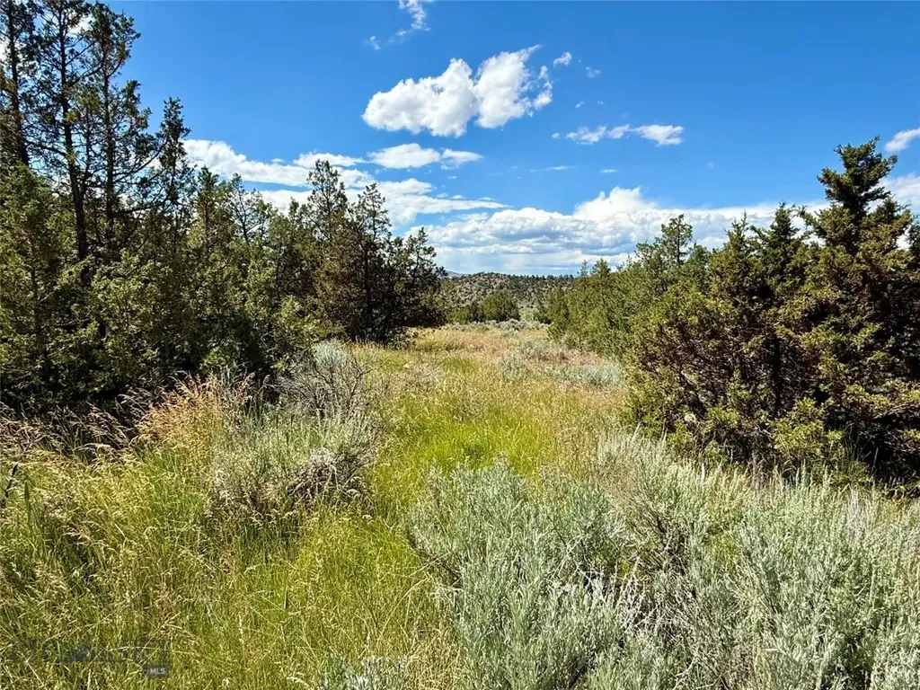 Lot 290 Tbd Broken Creek Road Three Forks MT 59752