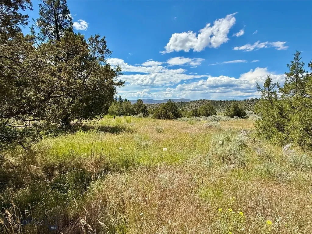 Lot 290 Tbd Broken Creek Road Three Forks MT 59752
