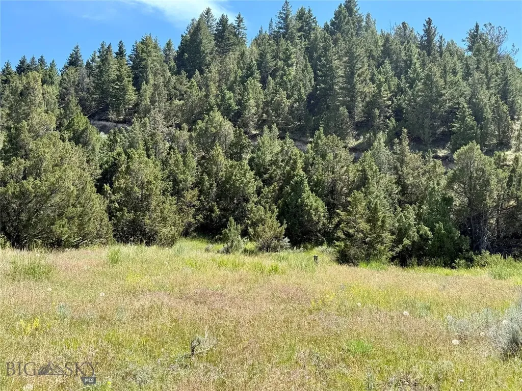 Lot 290 Tbd Broken Creek Road Three Forks MT 59752