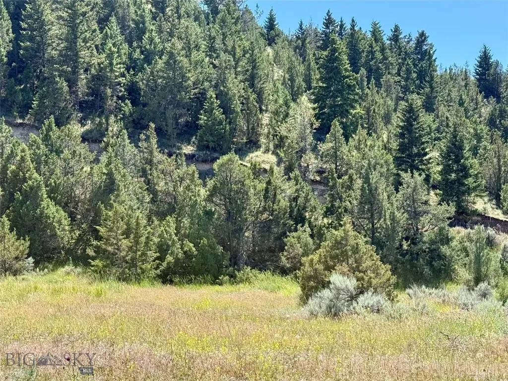 Lot 290 Tbd Broken Creek Road Three Forks MT 59752