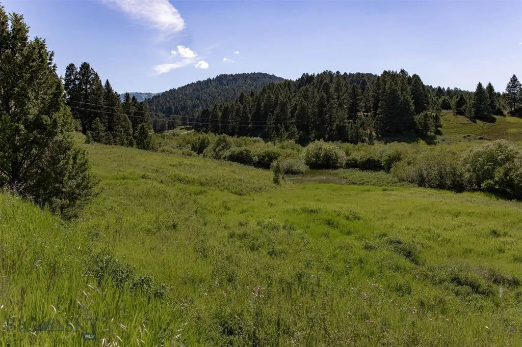Nhn Skunk Creek Bozeman MT 59715