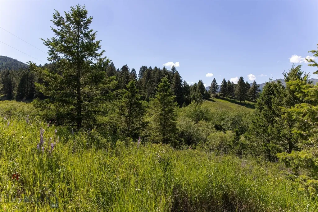 Nhn Skunk Creek Bozeman MT 59715