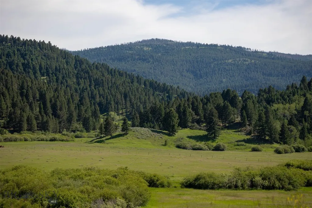Nhn Skunk Creek Bozeman MT 59715