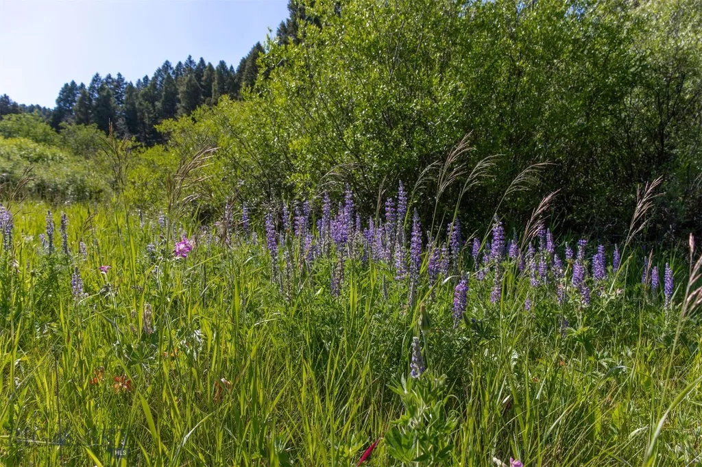 Nhn Skunk Creek Bozeman MT 59715