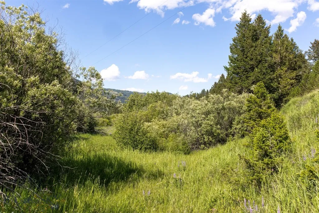 Nhn Skunk Creek Bozeman MT 59715