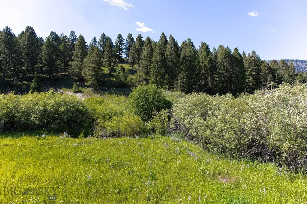Nhn Skunk Creek Bozeman MT 59715