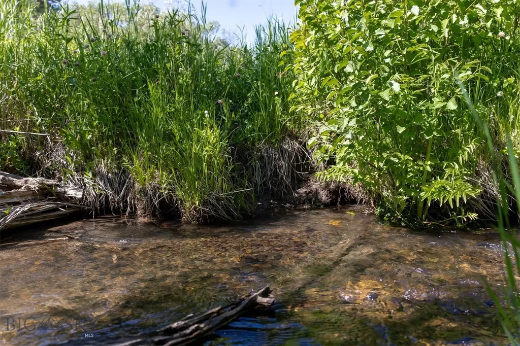Nhn Skunk Creek Bozeman MT 59715