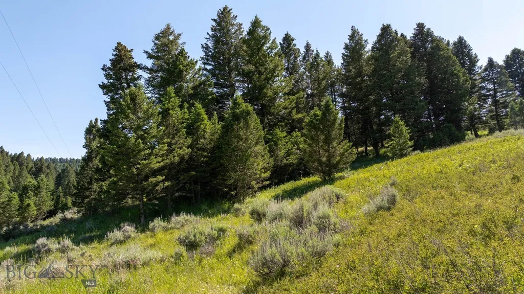 Nhn Skunk Creek Bozeman MT 59715