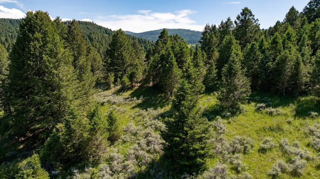 Nhn Skunk Creek Bozeman MT 59715