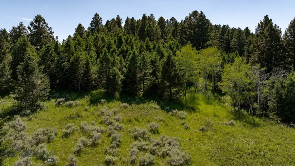 Nhn Skunk Creek Bozeman MT 59715