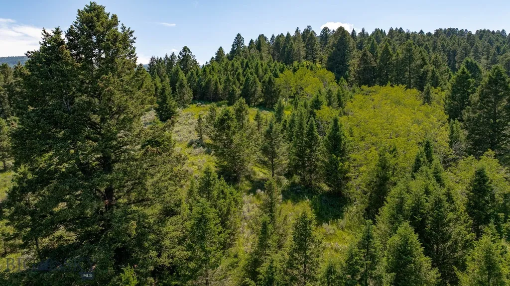 Nhn Skunk Creek Bozeman MT 59715