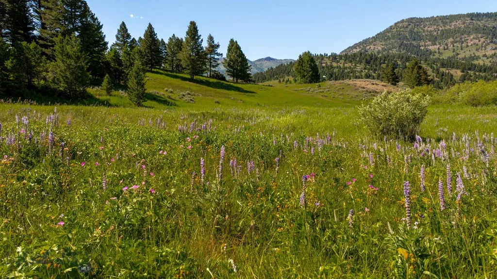 Nhn Skunk Creek Bozeman MT 59715