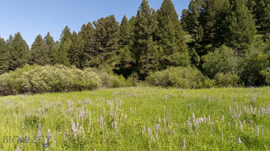 Nhn Skunk Creek Bozeman MT 59715