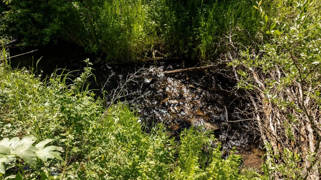Nhn Skunk Creek Bozeman MT 59715