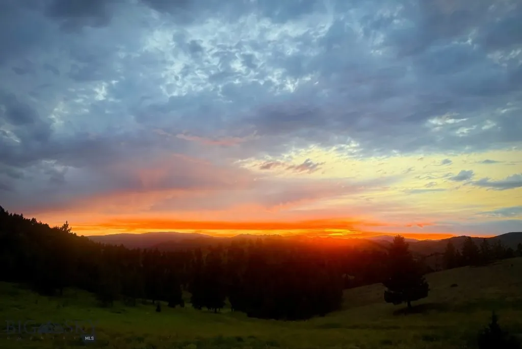 Helena MT 59601