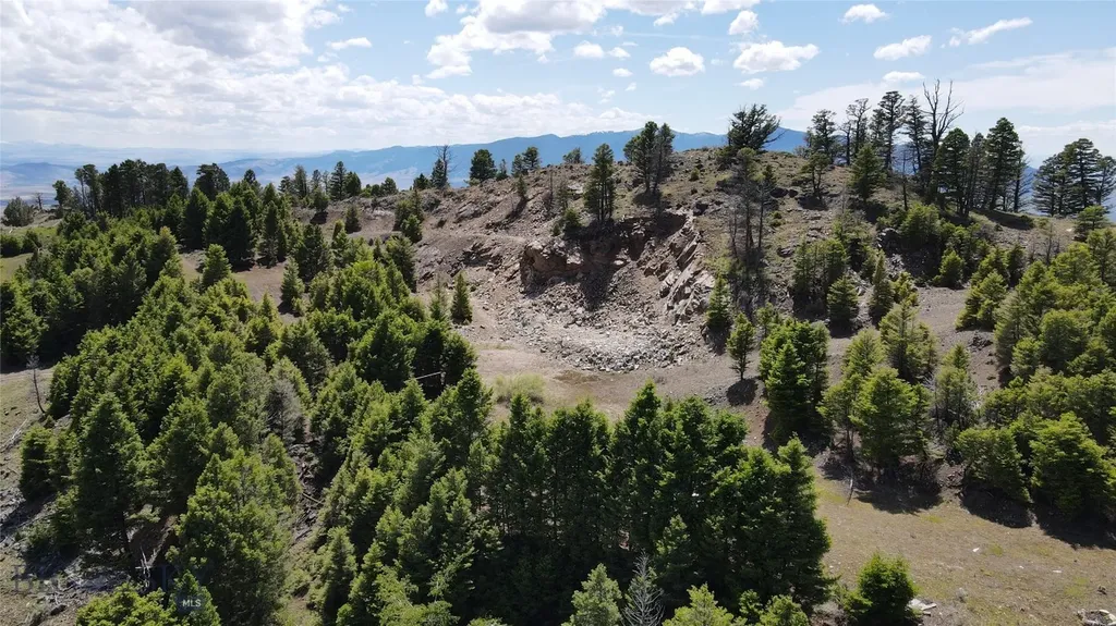 Tbd Bivens Creek Road Sheridan MT 59749