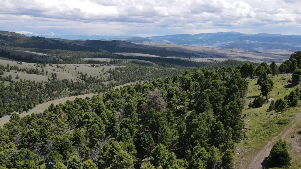 Tbd Bivens Creek Road Sheridan MT 59749
