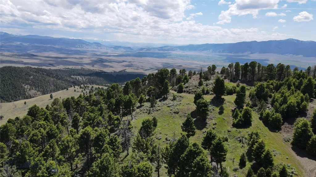 Tbd Bivens Creek Road Sheridan MT 59749