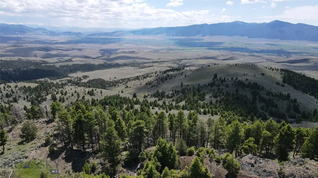 Tbd Bivens Creek Road Sheridan MT 59749