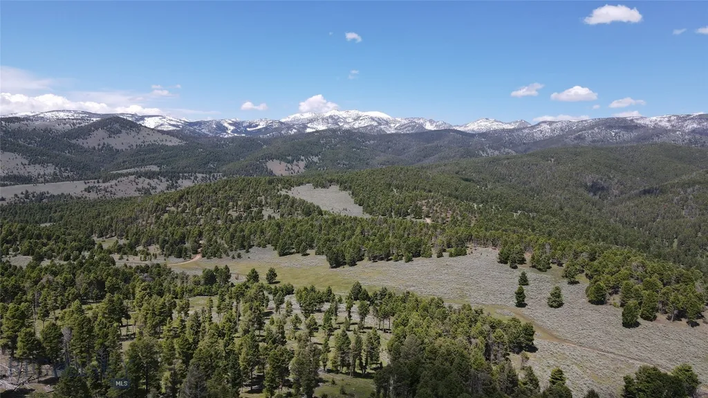 Tbd Bivens Creek Road Sheridan MT 59749