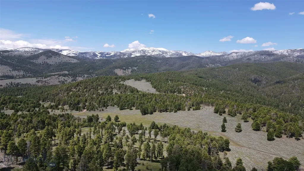 Tbd Bivens Creek Road Sheridan MT 59749