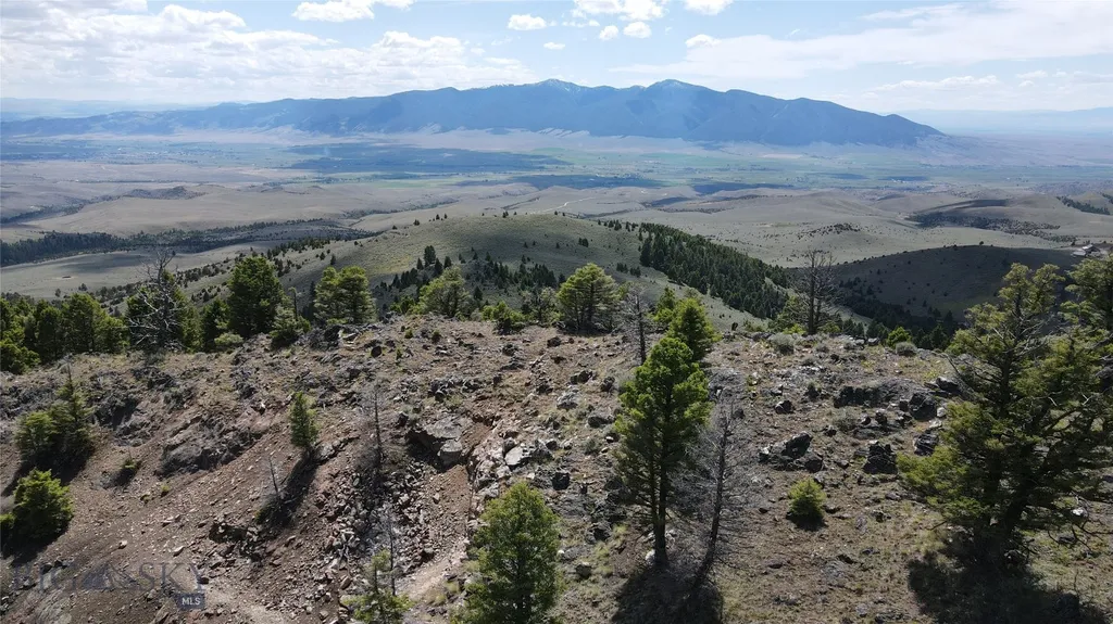 Tbd Bivens Creek Road Sheridan MT 59749