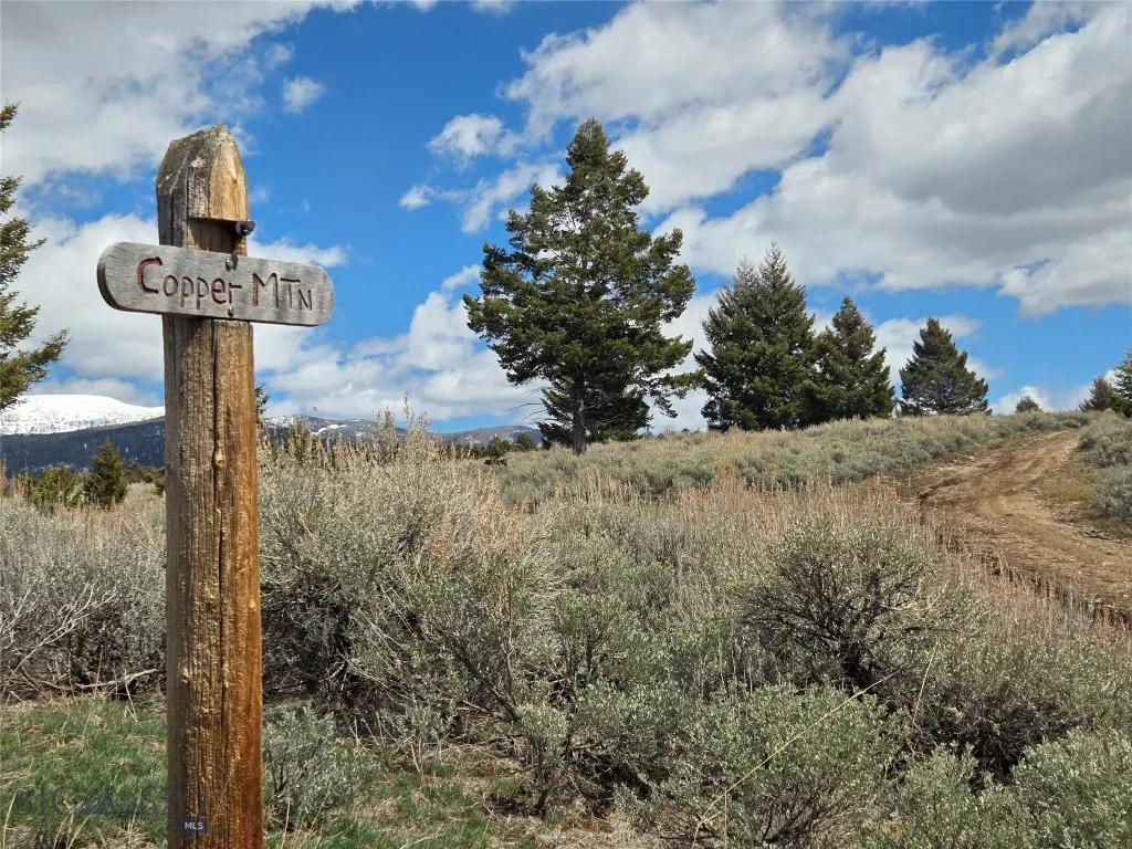Tbd Bivens Creek Road Sheridan MT 59749
