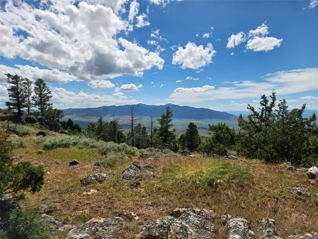Tbd Bivens Creek Road Sheridan MT 59749