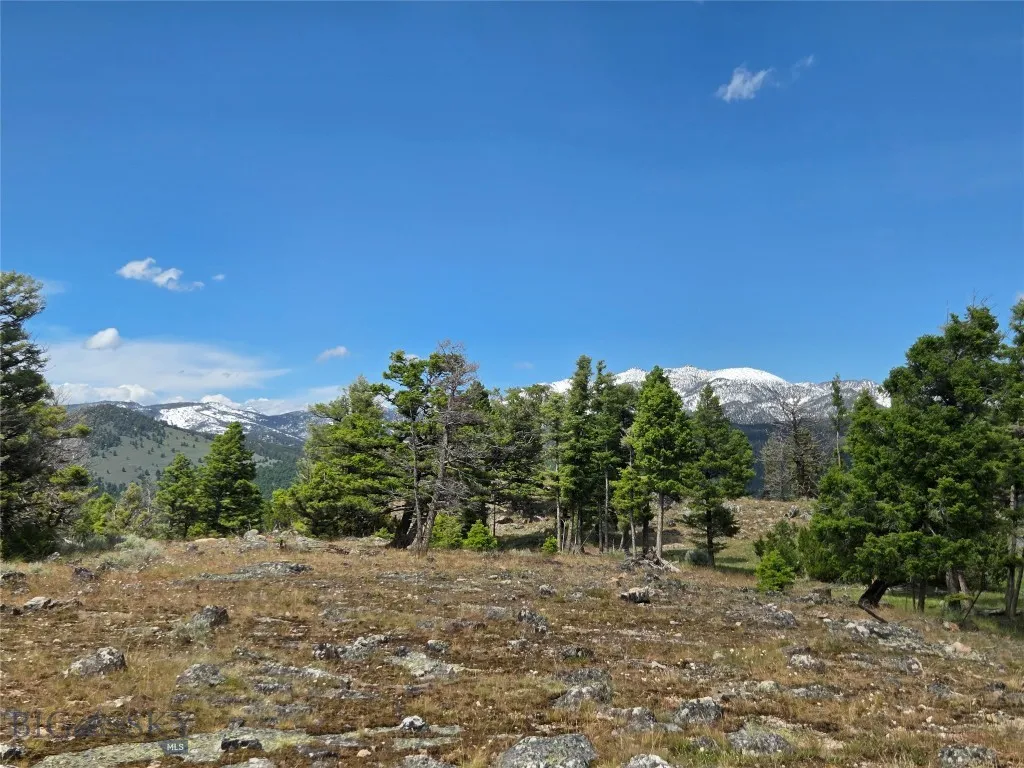 Tbd Bivens Creek Road Sheridan MT 59749