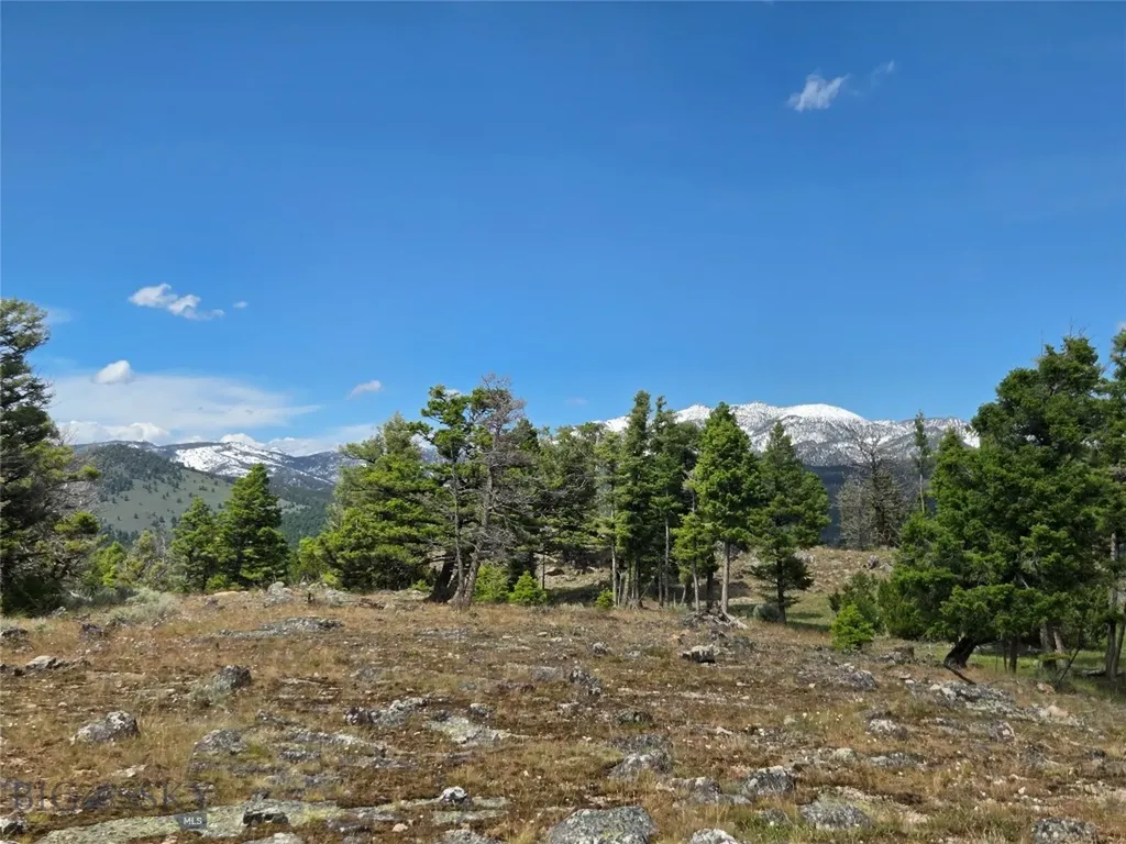 Tbd Bivens Creek Road Sheridan MT 59749